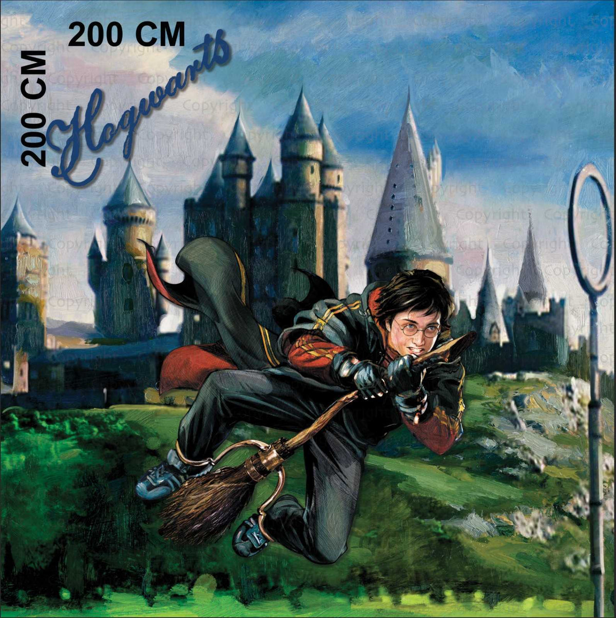 VP Papier peint panoramique Harry Potter match de quidditch peinture