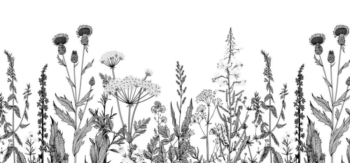 VP Papier peint botanique folk noir et blanc