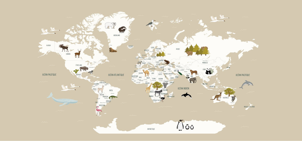 VP Papier peint Carte du monde en Francais enfant beige