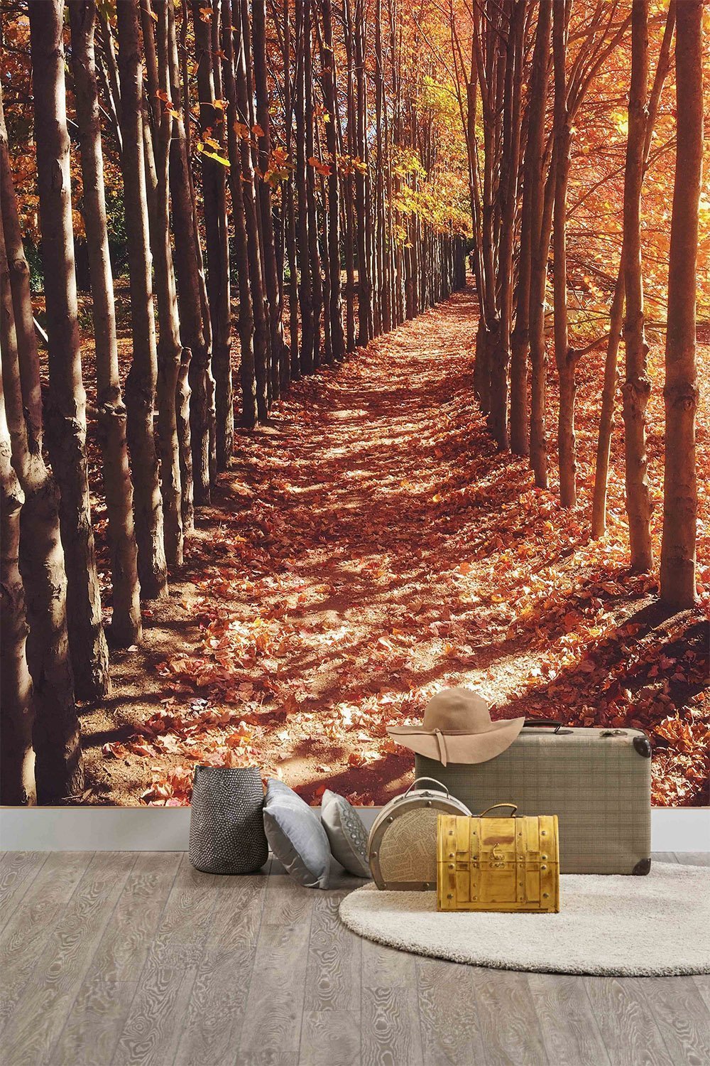 Papier peint panoramique chemin d'automne