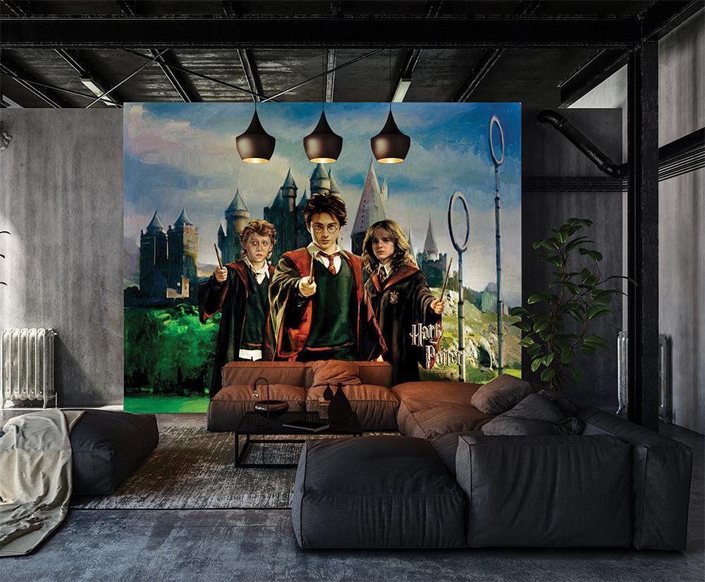 Harry Potter (Be Vigilant) 40x59cm MDF Wooden Wall Art Print 